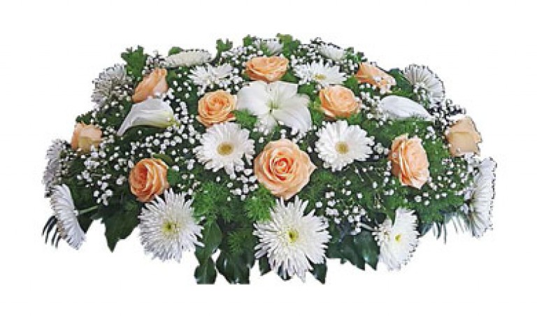 Модел 10